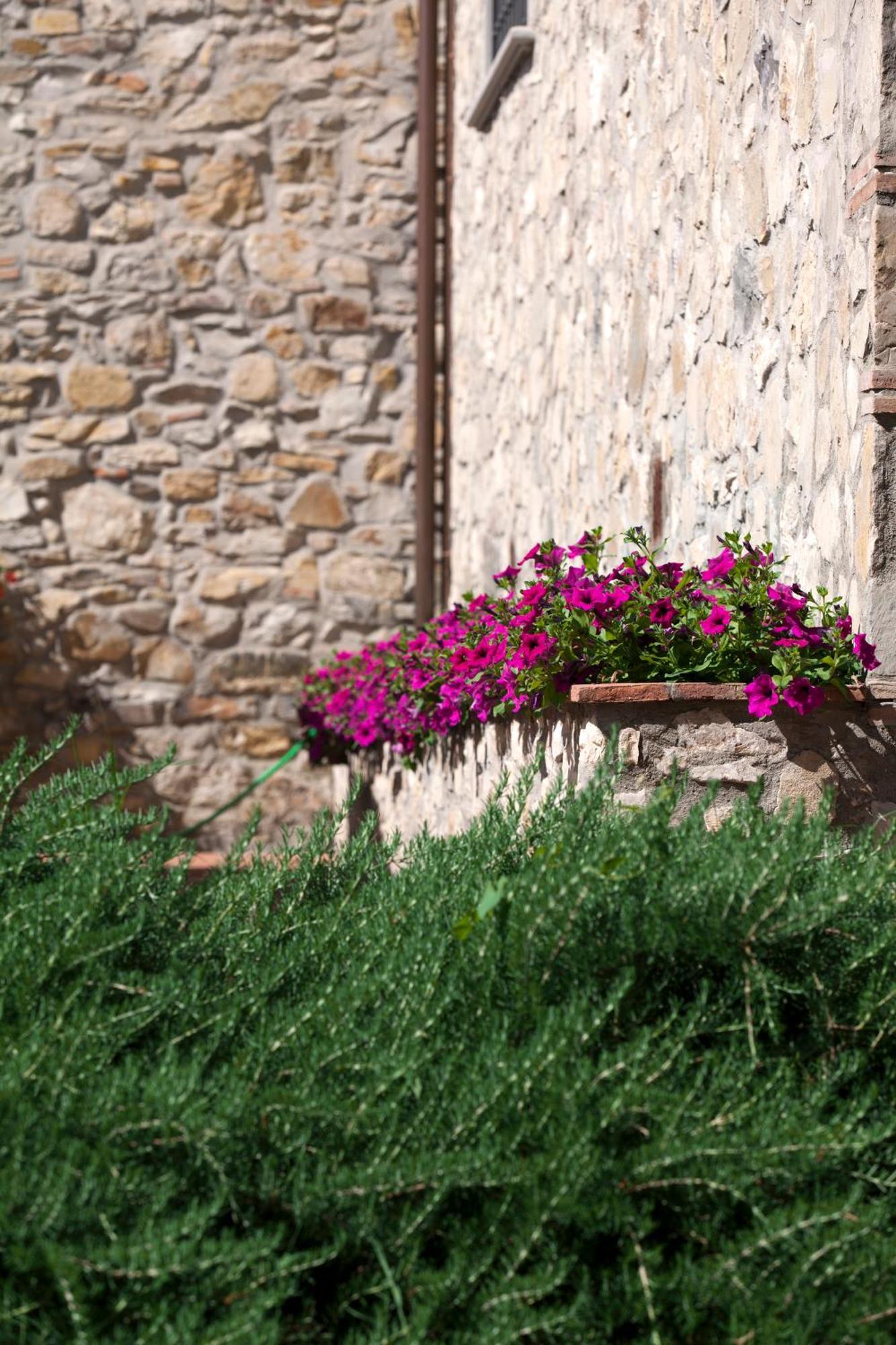 Agriturismo La Casa Di Rodo Quarrata Exteriér fotografie