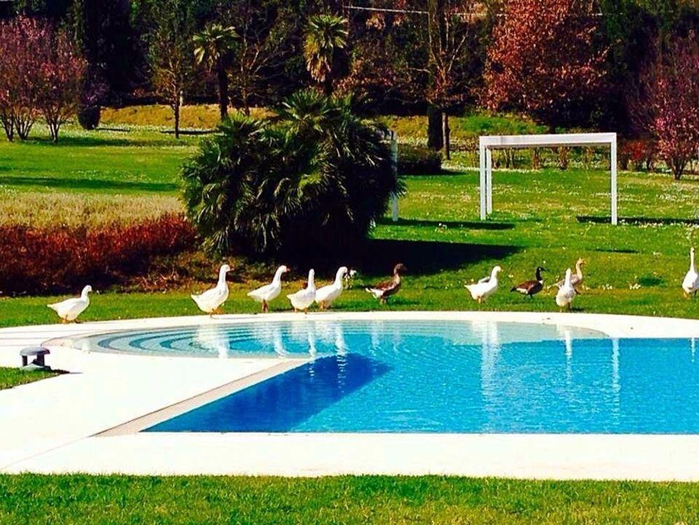 Agriturismo La Casa Di Rodo Quarrata Exteriér fotografie